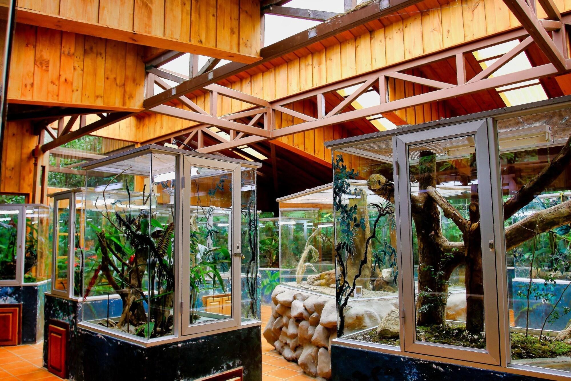Ficus Sunset Suites Monteverde Exterior photo
