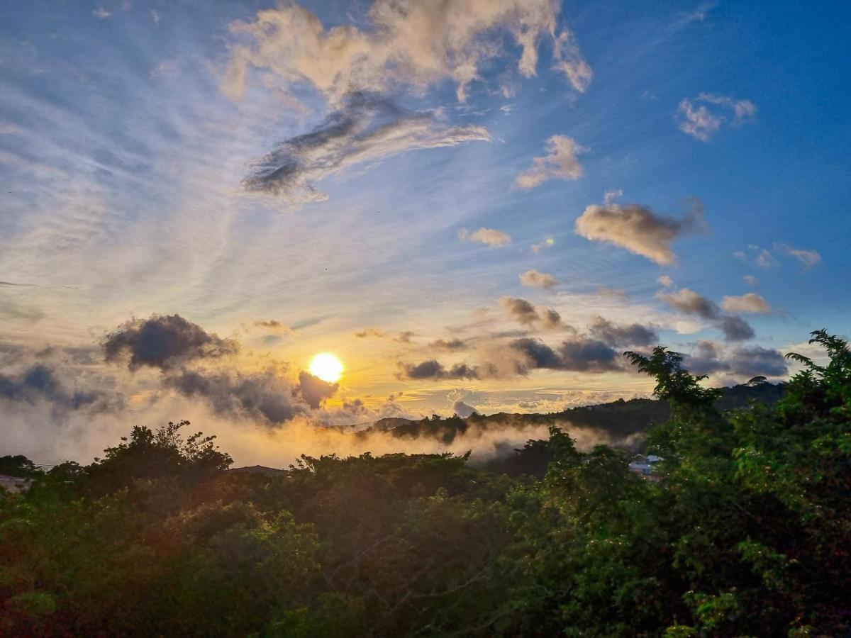 Ficus Sunset Suites Monteverde Exterior photo