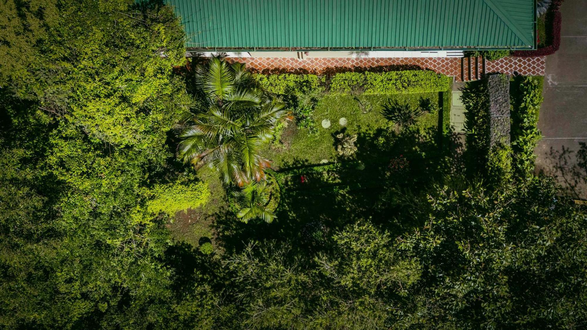Ficus Sunset Suites Monteverde Exterior photo